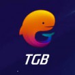 برنامج Tencent Gaming Buddy لتشغيل بابجي وألعاب الأندرويد على الكمبيوتر