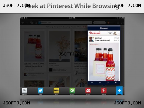 Skyfire Web Browser for iPad